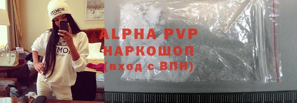 гидра Богородск