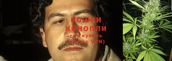 гидра Богородск