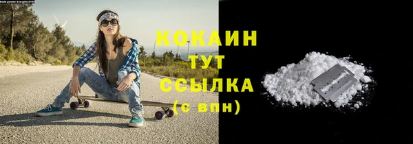 гидра Богородск