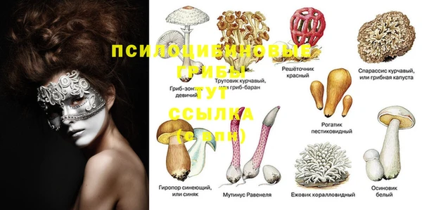 героин Богородицк