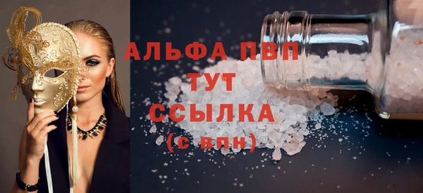 гидра Богородск