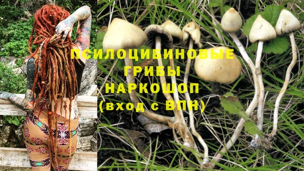 MDMA Premium VHQ Богданович