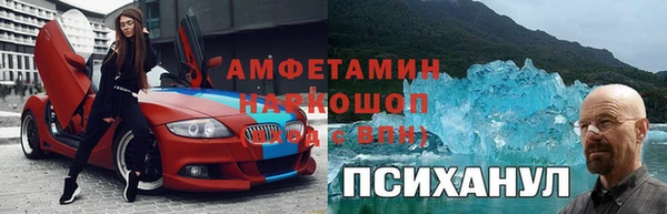 гидра Богородск