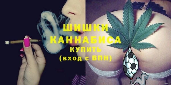 гидра Богородск