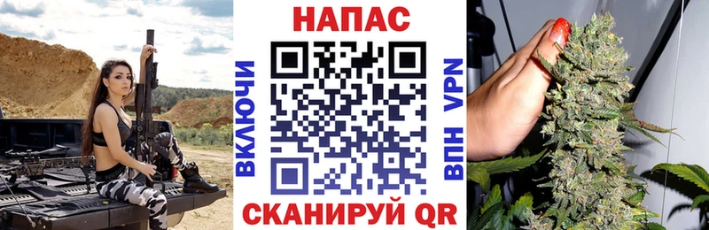 Бошки марихуана VHQ  Кинешма 